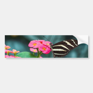 Mooie vlinder op een roze bloem bumpersticker