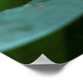 Mooie vlinder op een roze bloem poster (Hoek)