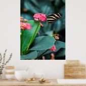 Mooie vlinder op een roze bloem poster (Keuken)
