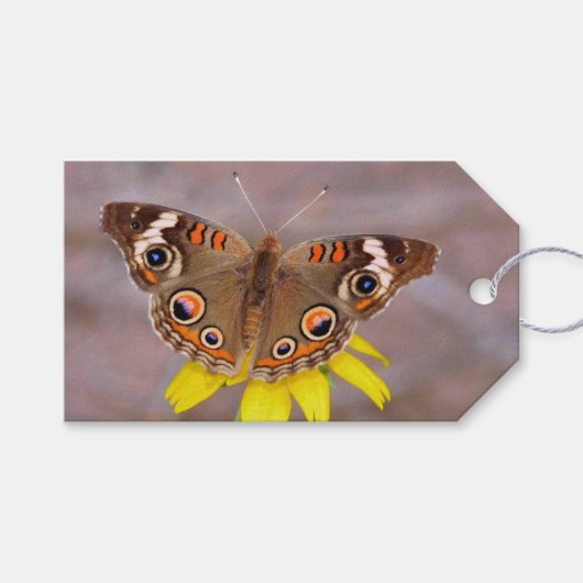 Mooie vlinder op gele bloem cadeaulabel (Voorkant (Horizontaal))