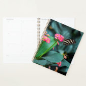 Mooie vlinder planner (Display)