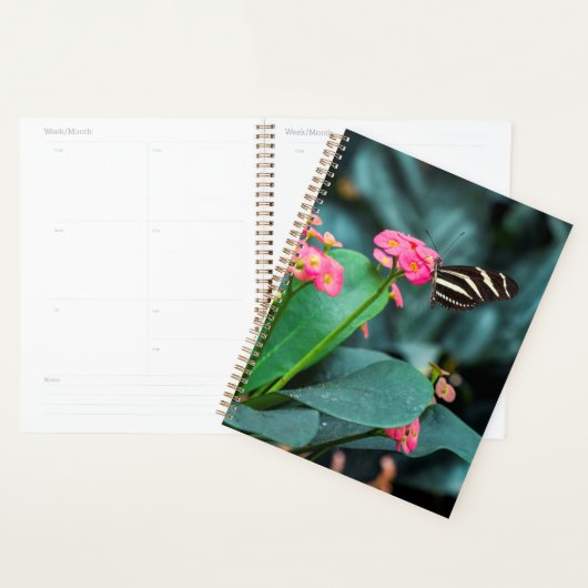 Mooie vlinder planner (Display)
