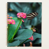 Mooie vlinder planner (Voorkant)