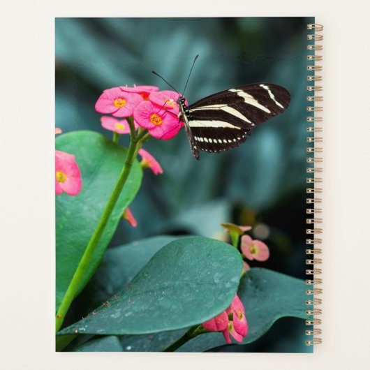 Mooie vlinder planner (Achterkant)