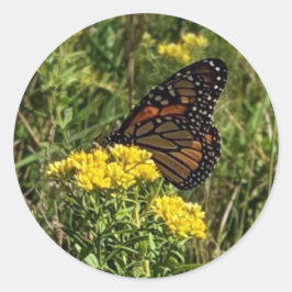 Mooie vlinder ronde sticker