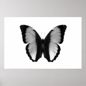 Mooie vlinder zwart-wit fotografie poster (Voorkant)