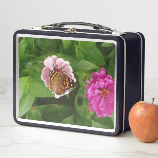 Mooie vlinderbox (In situ)