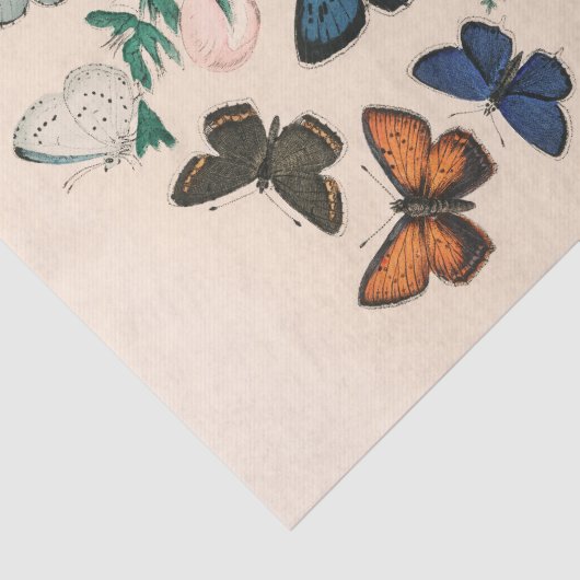  mooie vlinders botanische decoupage tissuepapier (Detail)