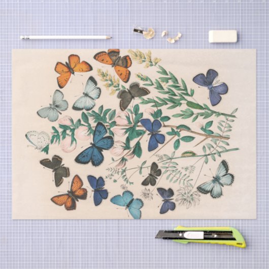  mooie vlinders botanische decoupage tissuepapier (Craft)
