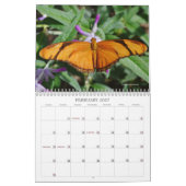 Mooie vlinders en motten kalender (Feb 2027)