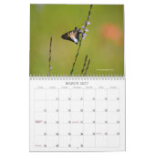 Mooie vlinders en motten kalender (Mar 2027)