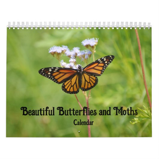 Mooie vlinders en motten kalender (Hoes)