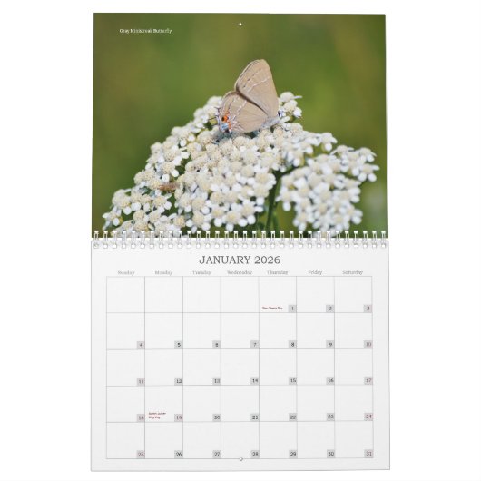 Mooie vlinders en motten kalender (Jan 2026)