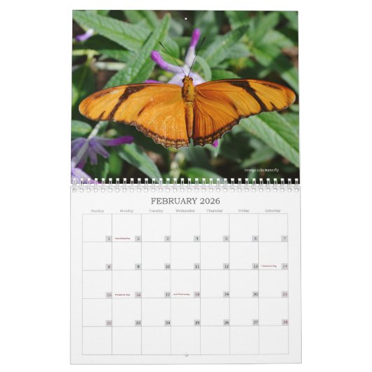 Mooie vlinders en motten kalender (Feb 2026)