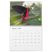 Mooie vlinders kalender (Feb 2027)