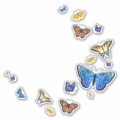 Mooie Vlinders Sticker (Voorkant)