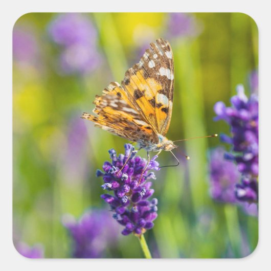 Mooie vlinderset voor voeding vierkante sticker (Voorkant)