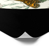 Mooie vlindervleugels poster (Hoek)