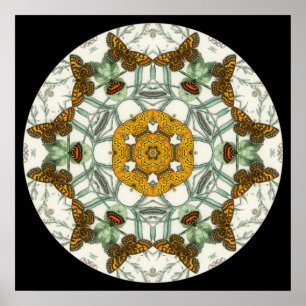 Mooie vlindervleugels poster