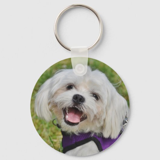 Mooie, vloeiende witte Maltese puppy Dog Sleutelhanger (Voorkant)