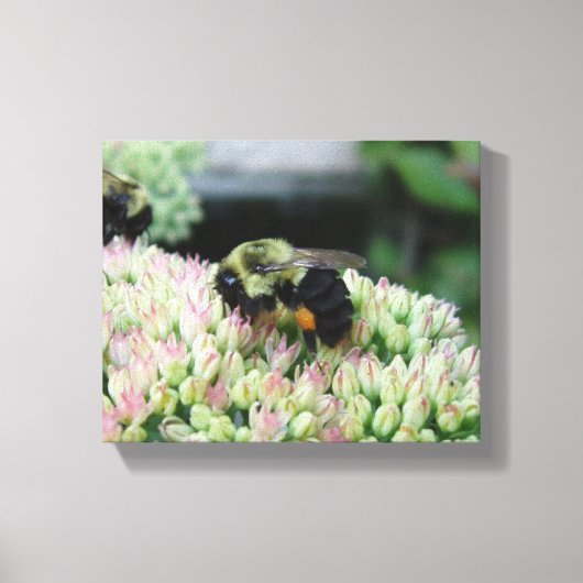 Mooie voedingbijen canvas afdruk (Voorkant)