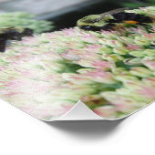 Mooie voedingbijen foto afdruk (Hoek)