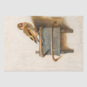 Mooie vogel De  ontkoppeling van Goldfinch Tissuepapier (Voorkant)