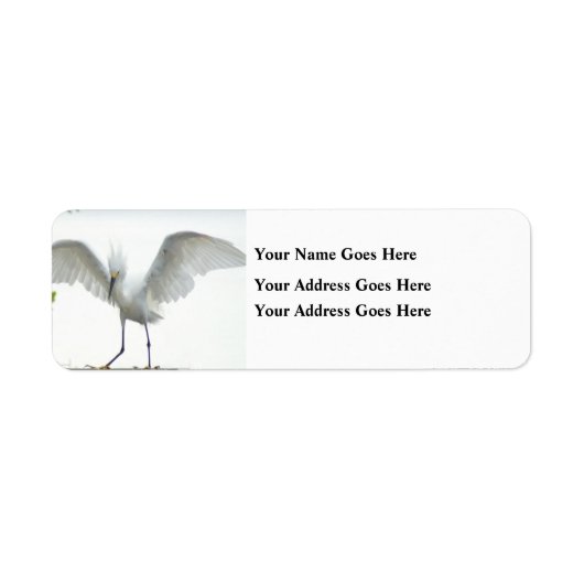 Mooie vogel etiket (Voorkant)