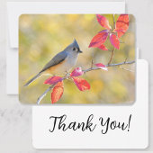 Mooie vogel in de herfst Foto | oprecht Bedankkaart