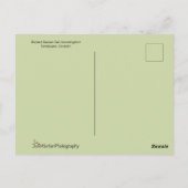 Mooie vogel met lange staartjes briefkaart (Achterkant)