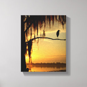 Mooie vogel op Shadowed Tree Canvas Afdruk