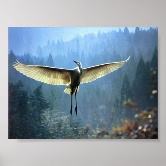 mooie vogel poster (Voorkant)