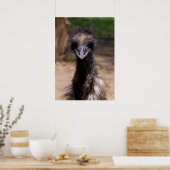 Mooie vogel poster (Keuken)