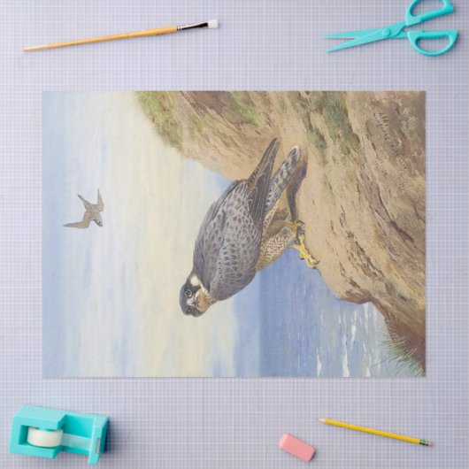 Mooie vogel slechtvalk decoupage tissuepapier (Craft)