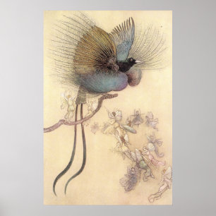 Mooie vogel van het Paradijs door het Poster Warwi