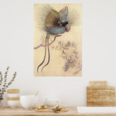 Mooie vogel van het Paradijs door het Poster Warwi (Keuken)