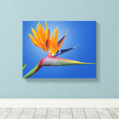 Mooie vogel van Paradise Strelitzia Flower Canvas Afdruk (Insitu (Houten vloer))