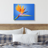 Mooie vogel van Paradise Strelitzia Flower Canvas Afdruk (Insitu (Slaapkamer))