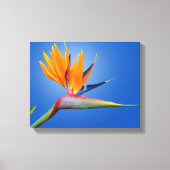 Mooie vogel van Paradise Strelitzia Flower Canvas Afdruk (Voorkant)