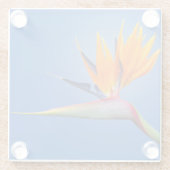 Mooie vogel van Paradise Strelitzia Flower Glazen Onderzetter (Achterkant)