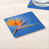 Mooie vogel van Paradise Strelitzia Flower Kartonnen Onderzetters (Schuin)