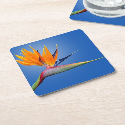 Mooie vogel van Paradise Strelitzia Flower Kartonnen Onderzetters (Schuin)