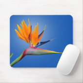 Mooie vogel van Paradise Strelitzia Flower Muismat (Met muis)