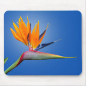 Mooie vogel van Paradise Strelitzia Flower Muismat (Voorkant)