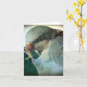 Mooie Vogel, Verjaardag Kaart (Gele Bloem)