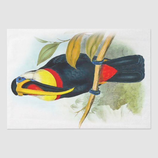 Mooie Vogel Vintage Toekan Tissuepapier (Voorkant)