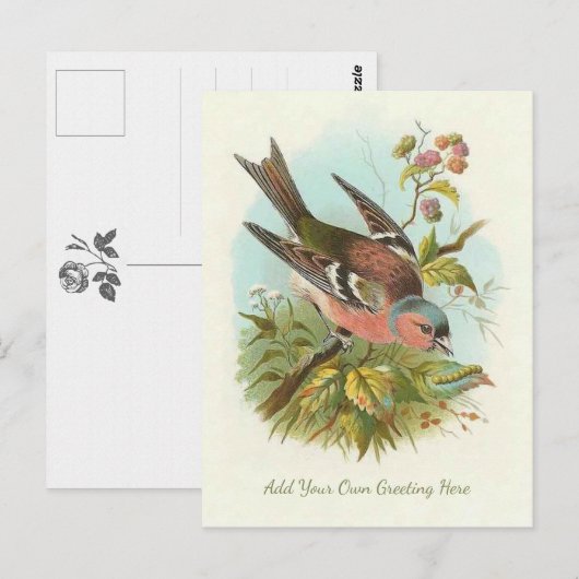 Mooie  vogel voegt je eigen groet toe briefkaart (Voorkant / Achterkant)
