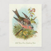 Mooie  vogel voegt je eigen groet toe briefkaart (Voorkant)