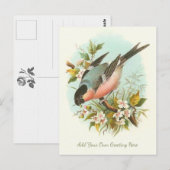 Mooie  vogel voegt je eigen groet toe briefkaart (Voorkant / Achterkant)