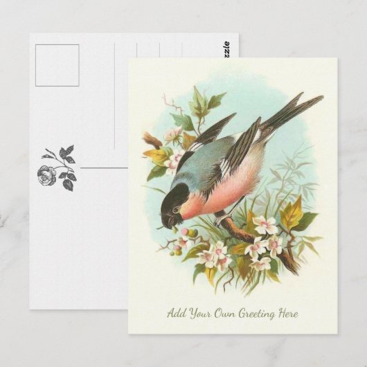 Mooie vogel voegt je eigen groet toe briefkaart (Voorkant / Achterkant)